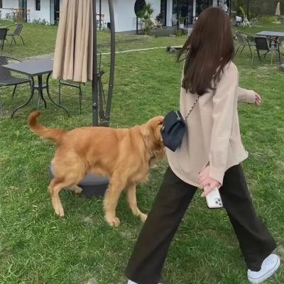 爱情盲点